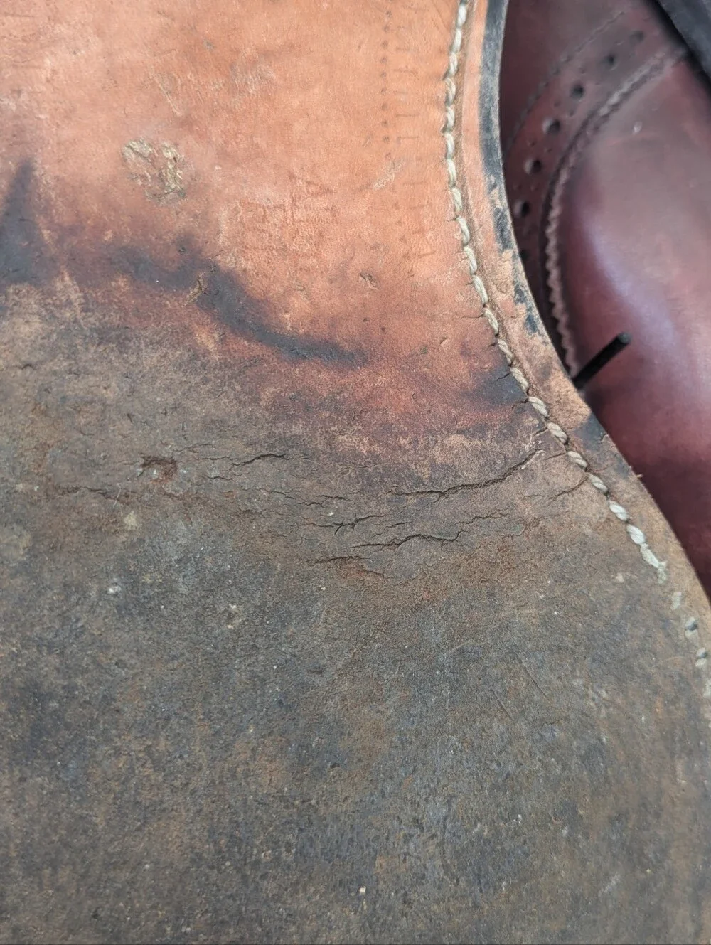 Allen Edmonds Lexington Cap Toe Oxford